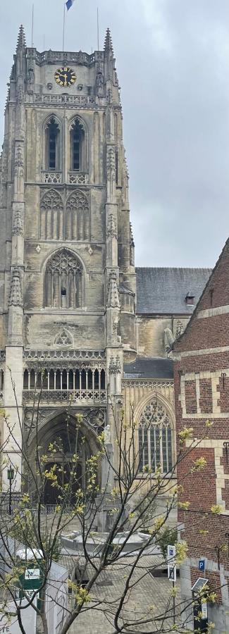 Vila Domus Basil Tongeren Exteriér fotografie